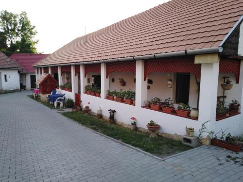 Nagyvisnyó的住宿－貝克茨公寓，白色的房子,有红色的屋顶和盆栽植物