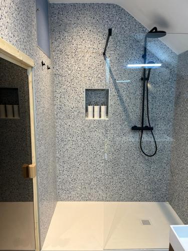 a bathroom with a shower with a shower head at Rooftop terrace suite in Heist-op-den-Berg