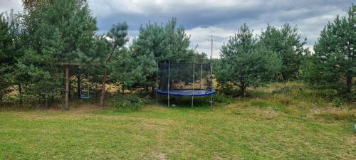 a trampoline in the middle of a field with trees at Sunset House in Sulęczyno