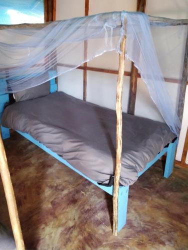a bunk bed with a canopy in a room at Underwater Explorer in Ponta do Ouro