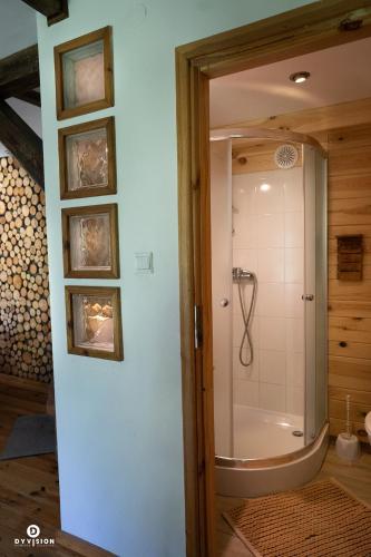 a bathroom with a shower with a glass door at U Anuli in AdamÃ³w