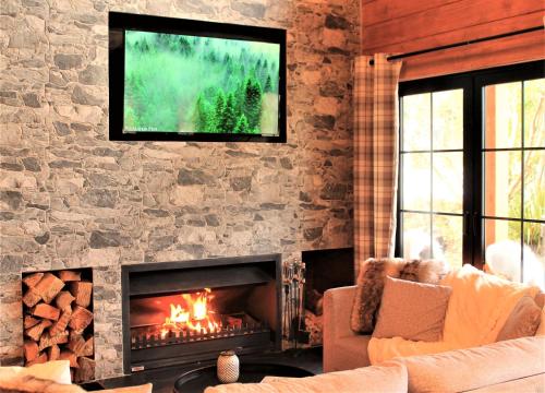 a living room with a fireplace with a tv above it at The Bavarian Chalet in Ohakune