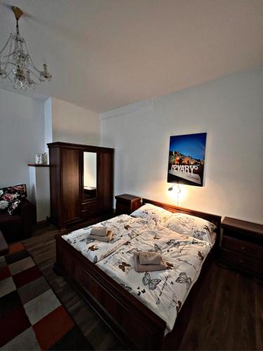 um quarto com uma cama num quarto em Apartmán U tří jehňátek em Karlovy Vary
