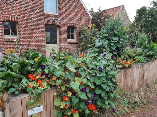 Les Jardins d'Olus – Photos 3