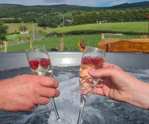 due persone che tengono bicchieri di vino su un cornicione di Kingarrow Cottage a Omagh