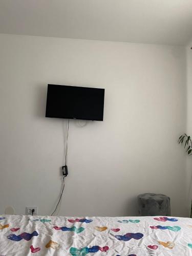 Μια τηλεόραση ή/και κέντρο ψυχαγωγίας στο Alesandru apartament