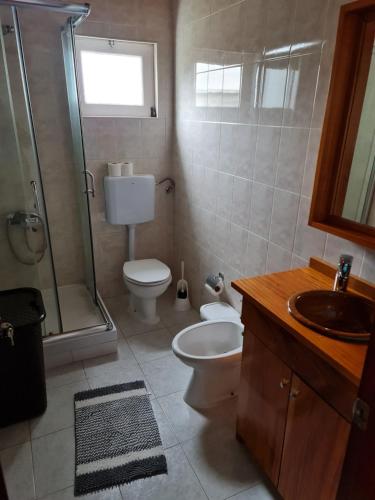 a bathroom with a toilet and a shower and a sink at Casa da Cruz in Santa Cruz das Flores