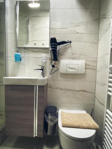 a bathroom with a toilet and a sink and a mirror at Studio 20qm mit Balkon und Innenpool - 22031 in Schluchsee