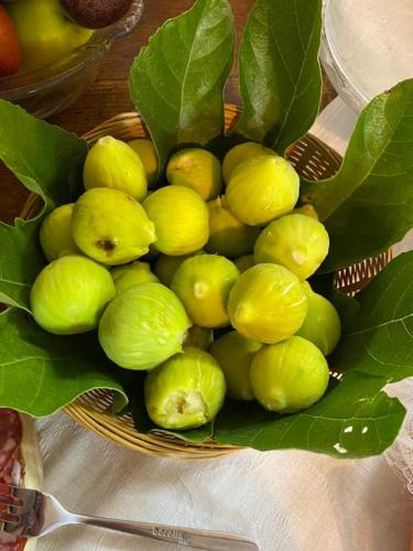 a basket of green fruit on a table at La Magnolia in Greve in Chianti