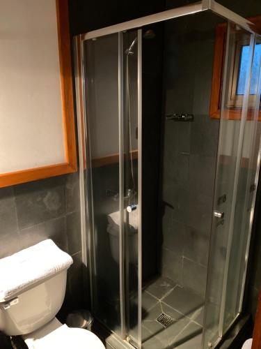 a bathroom with a shower and a toilet at Cabañas El Galo in Panguipulli