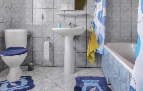 コウチェボにあるAmazing Home In Kolczewo With Saunaのバスルーム(トイレ、洗面台、バスタブ付)