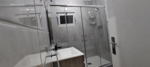 a bathroom with a shower and a sink at RUFIESCA in Torre de Moncorvo