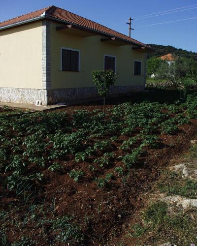 a house with a field of plants in front of it at Apartments with parking space Kraj, Pasman - 696 in Tkon
