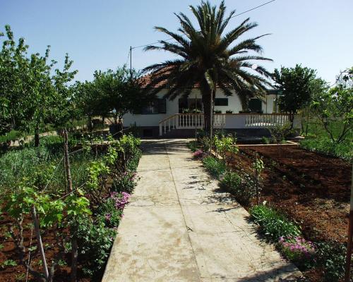 Seaside holiday house Pasman - 690 – Photos 2