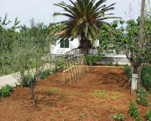 Seaside holiday house Pasman - 690 – Photos 3