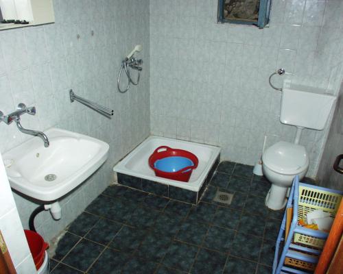 a bathroom with a toilet and a sink and a toilet bowl at Secluded fisherman's cottage Krknata, Dugi otok - 888 in Žman