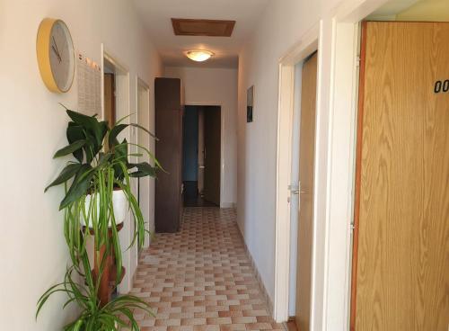 a hallway with a tile floor and a plant at Apartments with parking space Silo, Krk - 18758 in Šilo