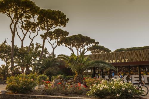 Gallery image of Hotel Il Mulinaccio in Populonia