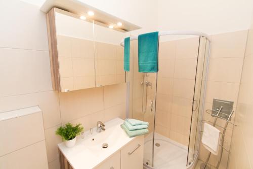 W łazience znajduje się prysznic i umywalka. w obiekcie Apartment Diefenbachgasse w Wiedniu