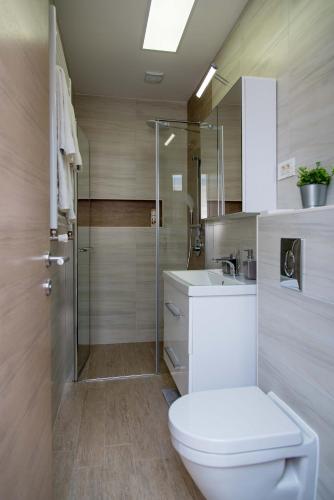 a bathroom with a toilet and a sink and a shower at Rooms with a parking space Daruvar, Bjelovarska - 18842 in Daruvar
