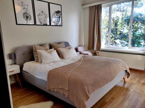 una camera da letto con letto, cuscini e finestra di Cosy and Fully Equipped Apartment near Antwerp ad Anversa