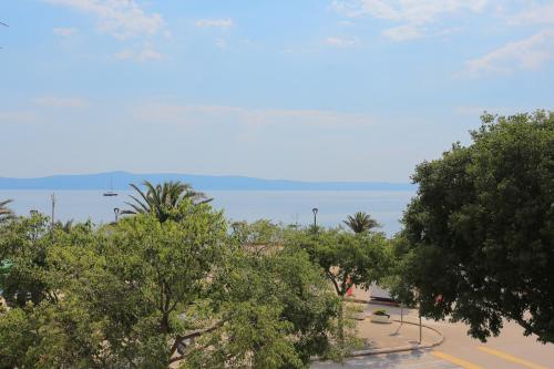 a group of trees with the ocean in the background at Apartments by the sea Podgora, Makarska - 18918 in Podgora