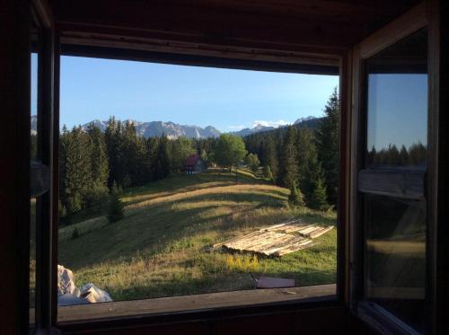 a window with a view of a field with trees at Nadgora SkyHouse in Žabljak