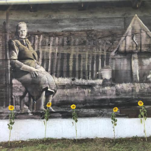Gambar di galeri bagi Magiczne Podlasie di Dubno