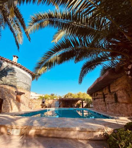 a swimming pool with a palm tree next to a building at Apartamentos Montgò in Denia