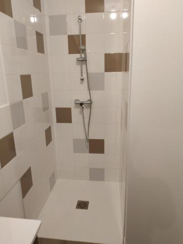 y baño con ducha de azulejos blancos y marrones. en Pleinitude en Trangé