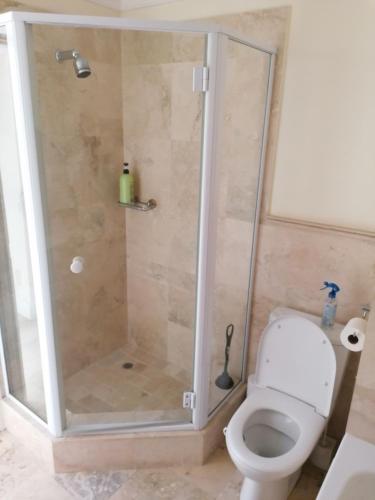 a bathroom with a shower and a toilet at Gem Quays Waterfront in Knysna