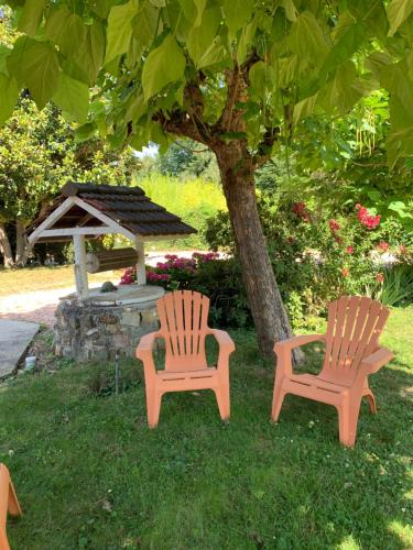 Κήπος έξω από το IRON MAN offer a villa located right on the river