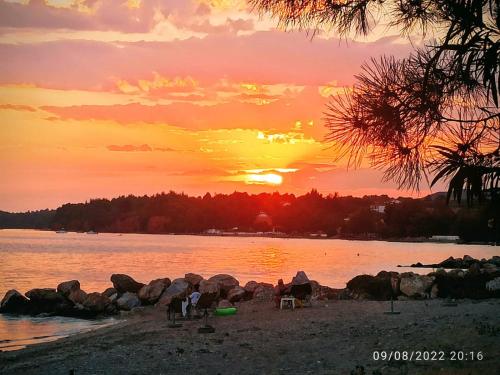 a sunset on a beach with a group of animals at Family House by the Sea in Nikiti
