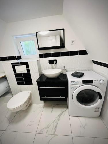 a bathroom with a washing machine and a sink at Évi Vendégház Dunakanyar in Pilismarót