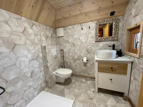 een badkamer met een toilet en een wastafel bij Velika Planina Koča Kekec in Stahovica