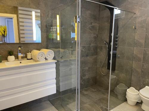 a bathroom with a shower and a sink and a toilet at Presidential Penthouse in Eilat