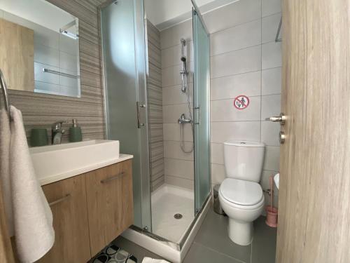 a bathroom with a shower and a toilet and a sink at Silver Line 1-Bedroom Apartment in Larnaca in Larnaca