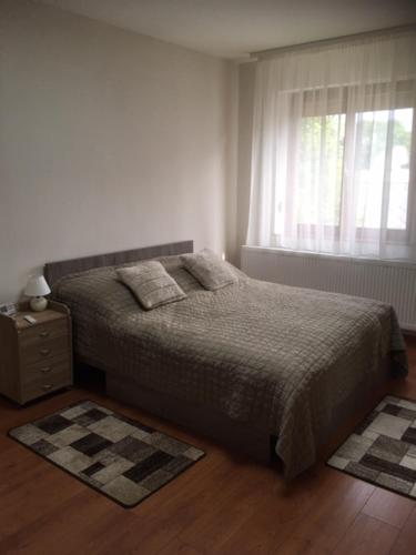 a bedroom with a bed with a window and two rugs at Thaly 5 in Debrecen