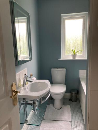 bagno con servizi igienici, lavandino e finestra di Magheraboy Cottage Portrush a Portrush