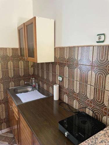 a kitchen with a sink and a counter top at Apartmani Simonovic in Soko Banja