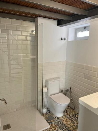a bathroom with a toilet and a glass shower at Das blaue Haus in Castillo del Romeral