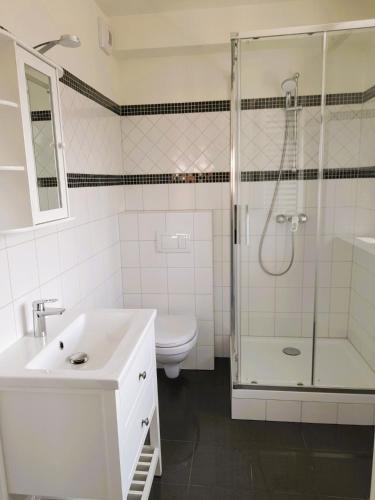 a bathroom with a shower and a sink and a toilet at Die Sonne Nollingen in Nollingen