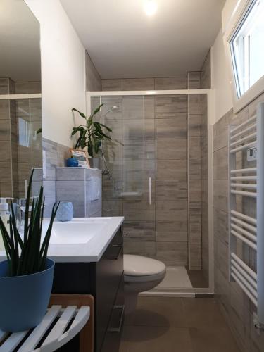 Le Terramon - Appartement 4 personnes في أوربي: حمام مع دش مع مرحاض ومغسلة