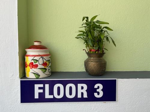 a shelf with a plant and a sign for floor three at Chez Prabha Homestay in Puducherry