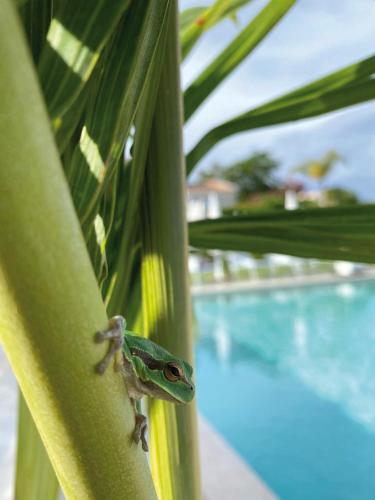 Bazén v ubytování Il Borghetto Resort & Spa nebo v jeho okolí