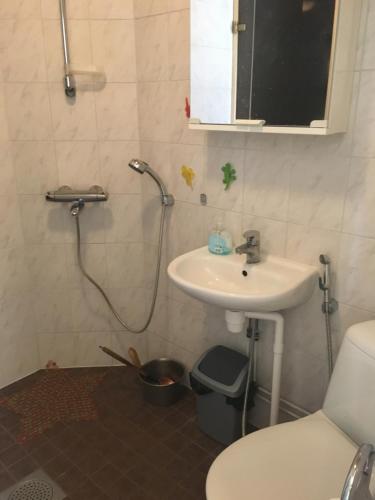 a bathroom with a sink and a toilet and a shower at Foxy burrow in Verla