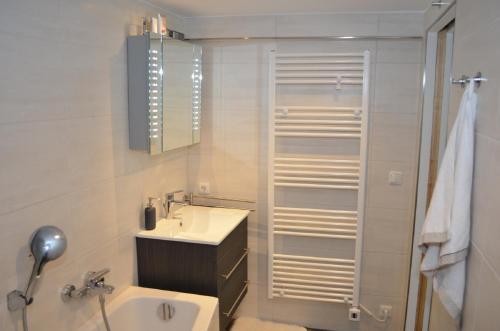 y baño blanco con lavabo y ducha. en Ferienhaus Köhler en Marienberg