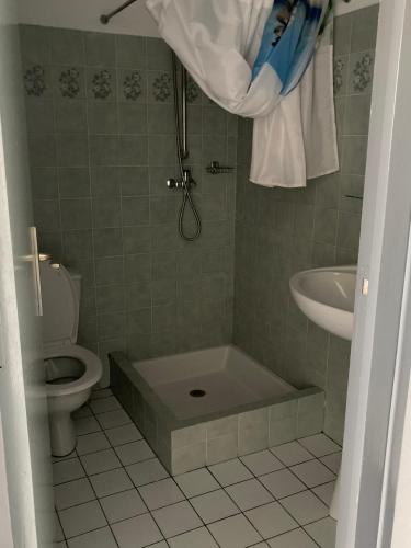 a bathroom with a shower and a toilet and a sink at LE ZANCHETTIN in Mont-de-Marsan