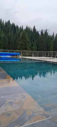une grande piscine d'eau avec un pont sur celle-ci dans l'établissement Viktan Hotel, à Bukovel