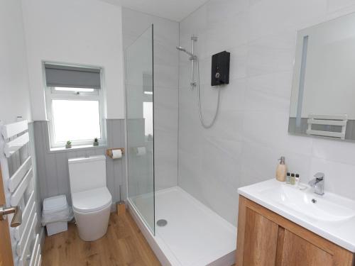 uma casa de banho com um chuveiro, um WC e um lavatório. em Pass the Keys Adorable 1 bedroom Country Cottage couplessingles em Bodewryd
